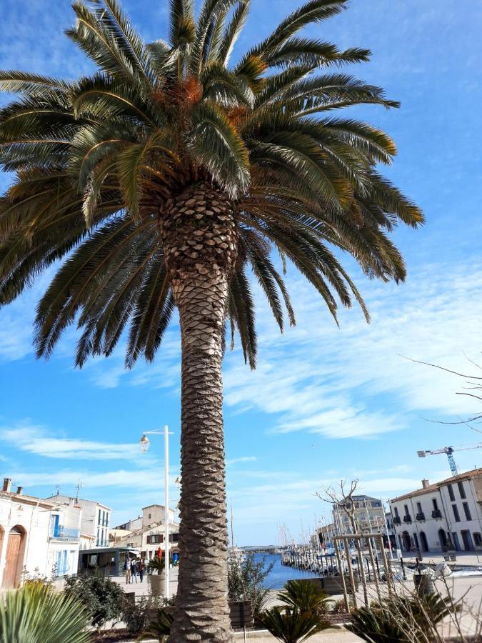 Appartement De Charme Sur Le Port De Marseillan Екстериор снимка