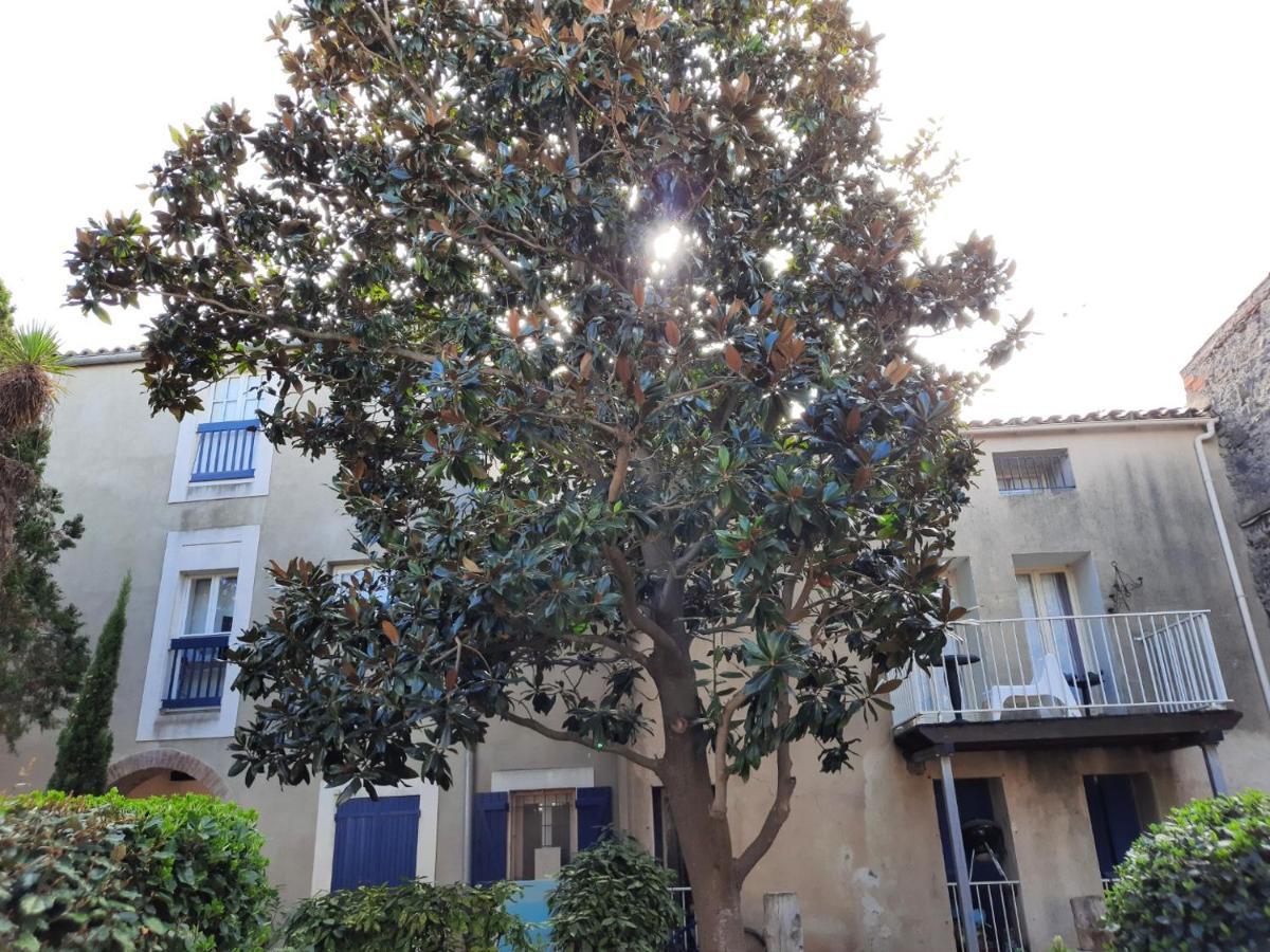 Appartement De Charme Sur Le Port De Marseillan Екстериор снимка